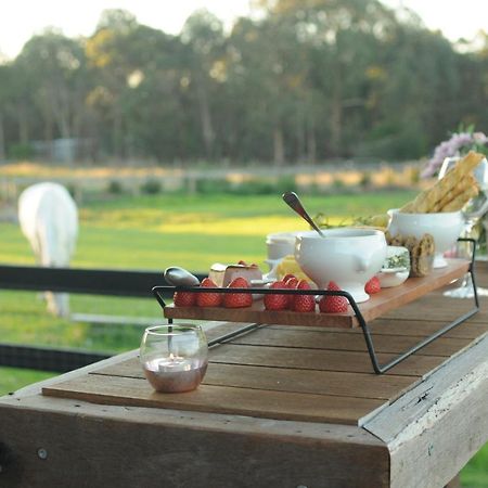 瑟尔Wagtail Nest Country Retreat - Longford Vic 3851住宿加早餐旅馆 外观 照片